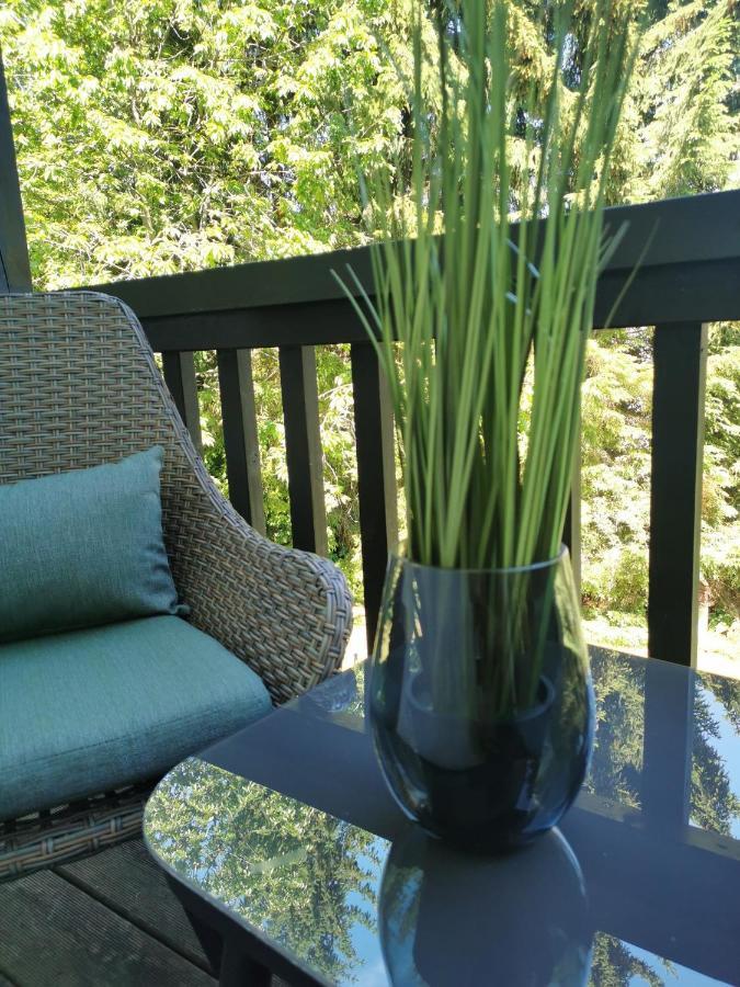 Country-Suites By Verdino Living - Apartments & Suites (Adults Only) Braunlage Eksteriør billede